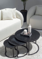 Melaina Noir Nesting Coffee Table Trio TWOA 