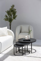 Melaina Noir Nesting Coffee Table Trio TWOA 