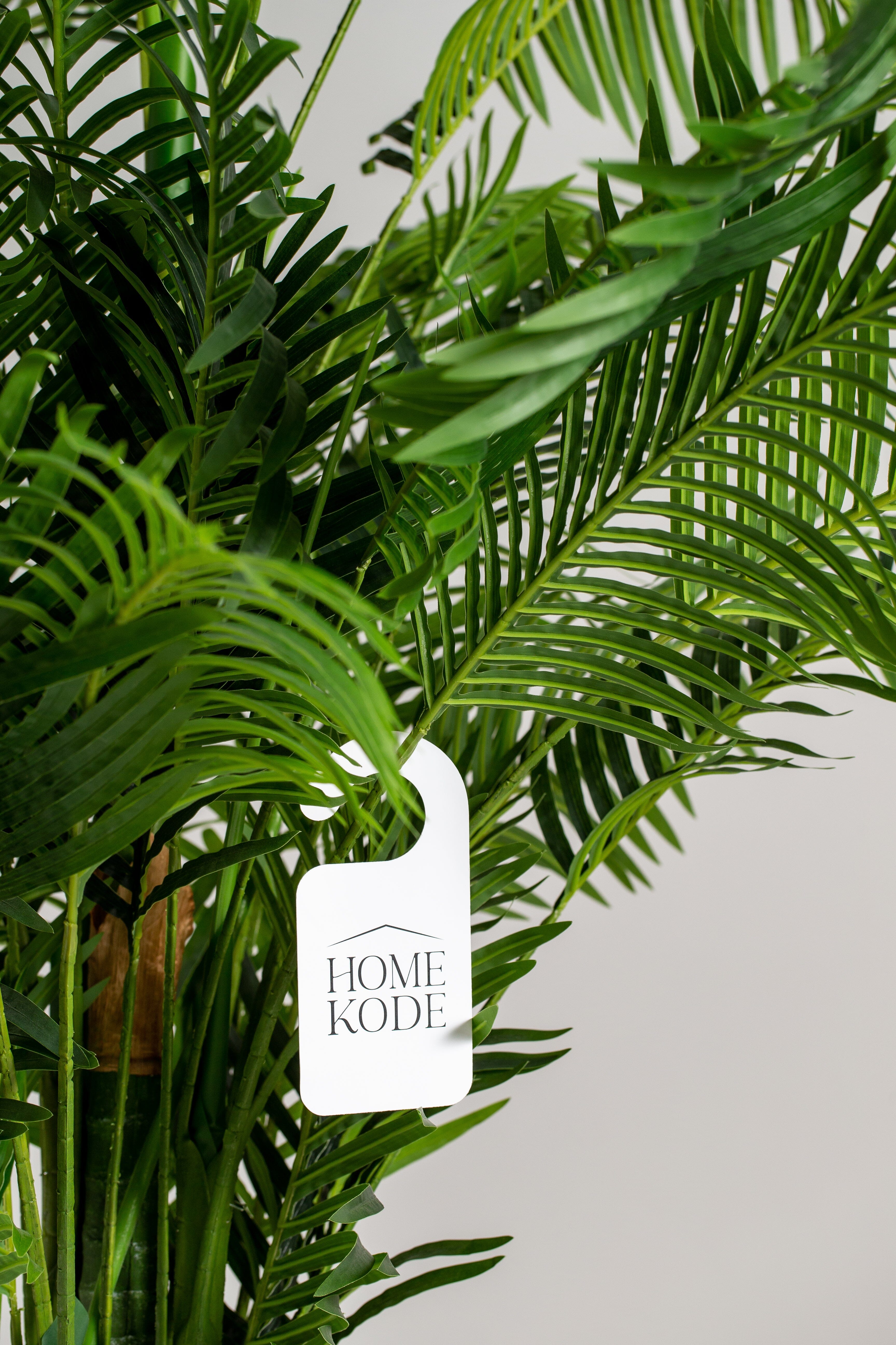 Areca Palmificial Plant (Pot not included) Homekode 