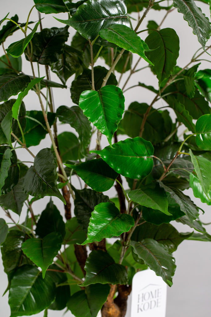 Artificial Ficus Benjamin Plant (Pot not included) Homekode 