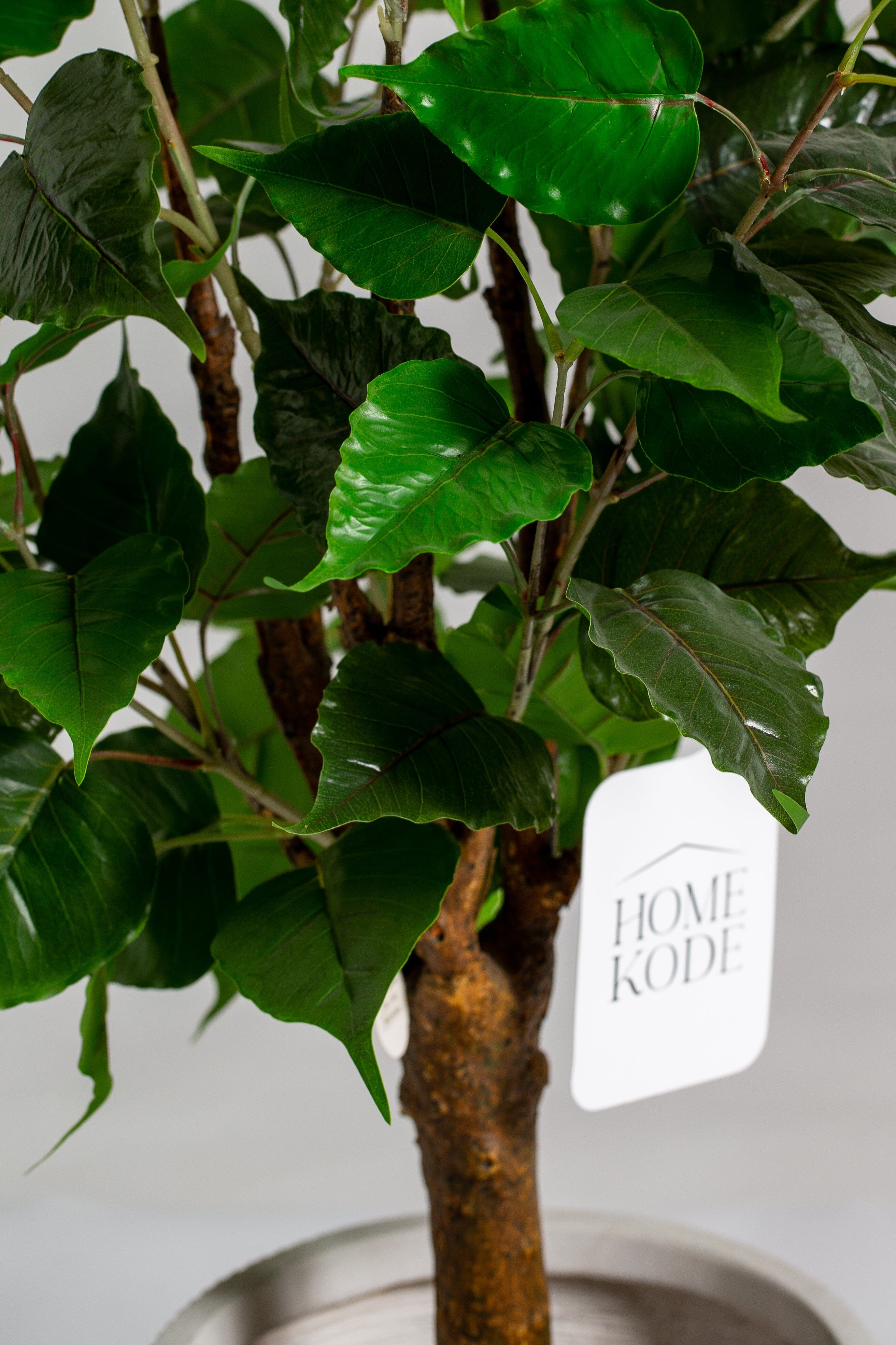 ificial Ficus Benjamin Plant (Pot not included) Homekode 