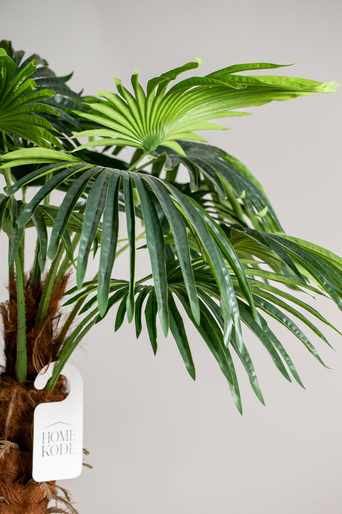 9.5 Ft Double Headed Palm Tree (Pot not included) Homekode 