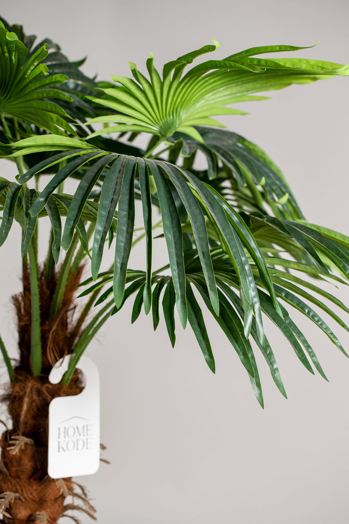 9.5 Ft Double Headed Palm Tree (Pot not included) Homekode 