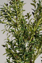 Oliveificial Tree (Pot not included) Homekode 