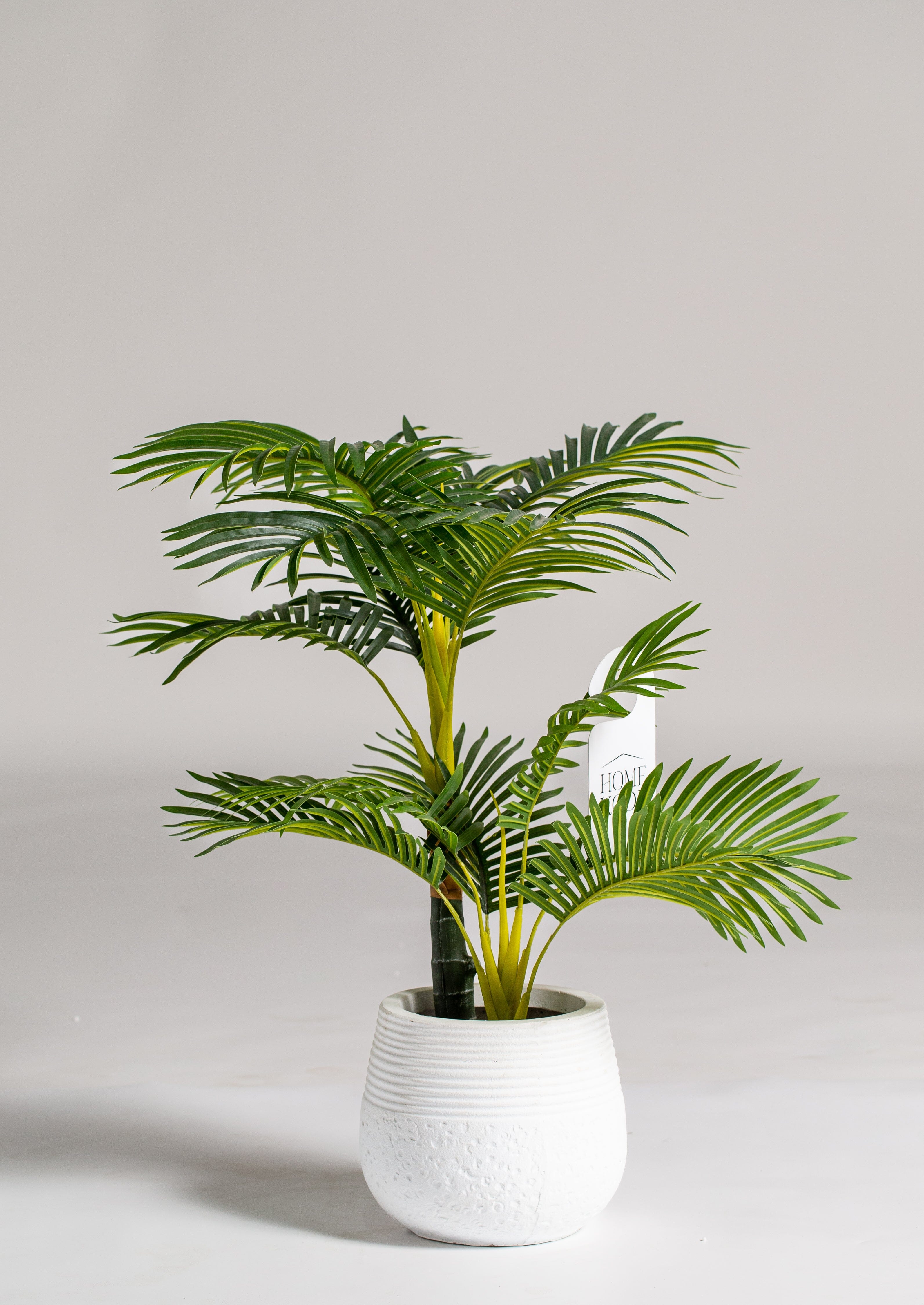 Areca Artificial Plant (Pot not included) Homekode 