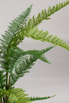 River Fern Artificial Plant (Pot not included) Homekode 