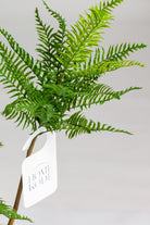 Fern Artificial Plant (Pot not included) Homekode 