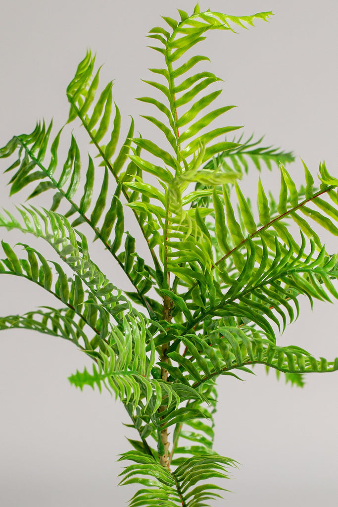 Fern Artificial Plant (Pot not included) Homekode 