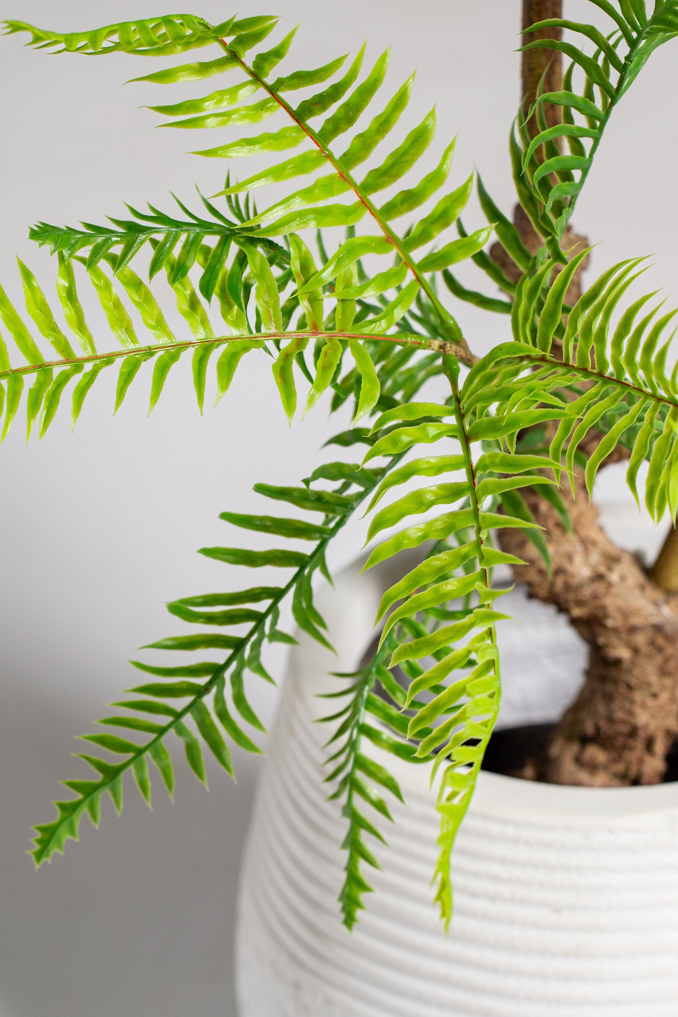 Fern Artificial Plant (Pot not included) Homekode 