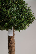 Boxwood Treeificial Plant (Pot not included) Homekode 