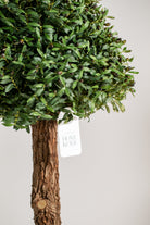 Boxwood Tree 2 Artificial Plant (Pot not included) Homekode 