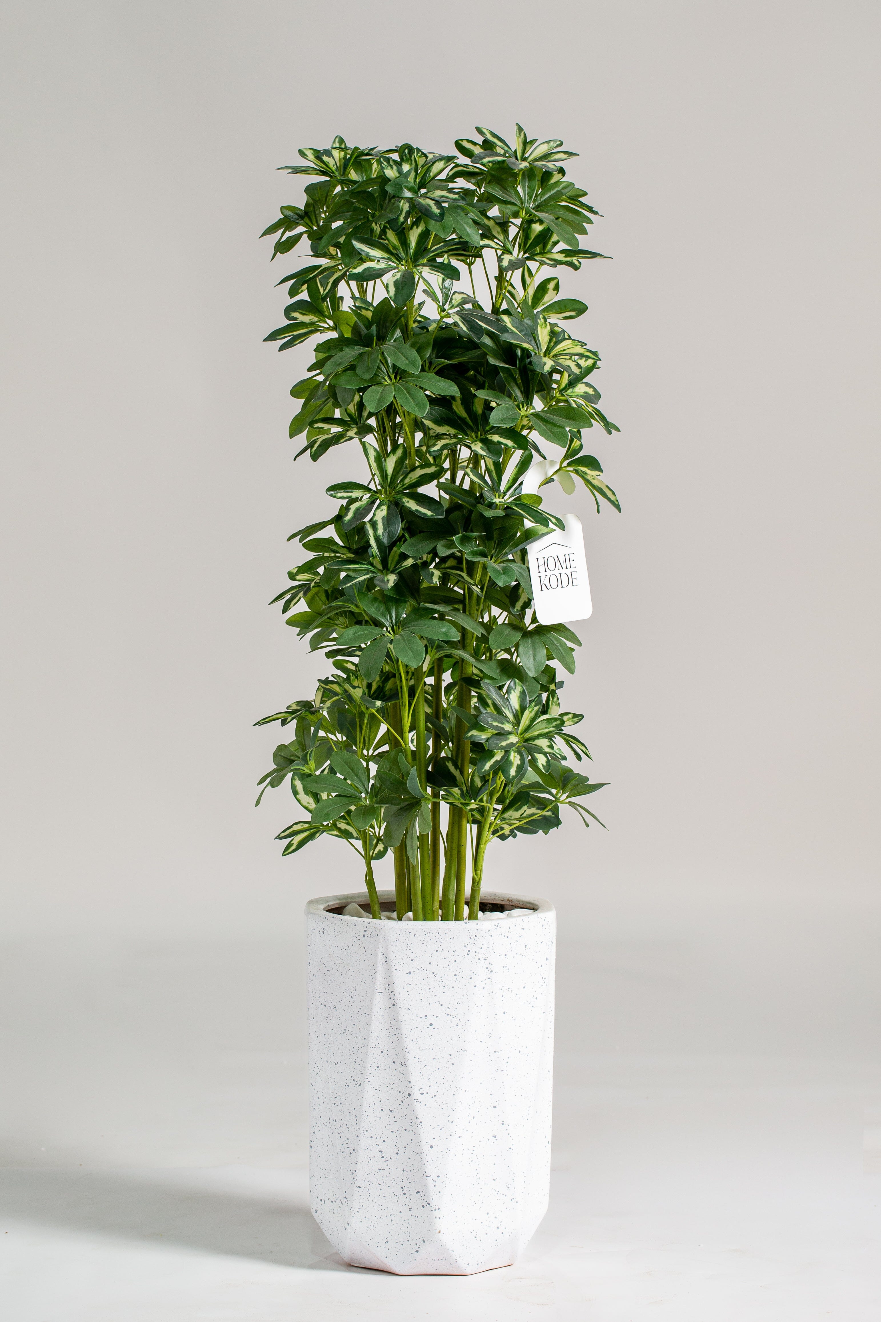 Schefflera Artificial Plant (Pot not included) Homekode 