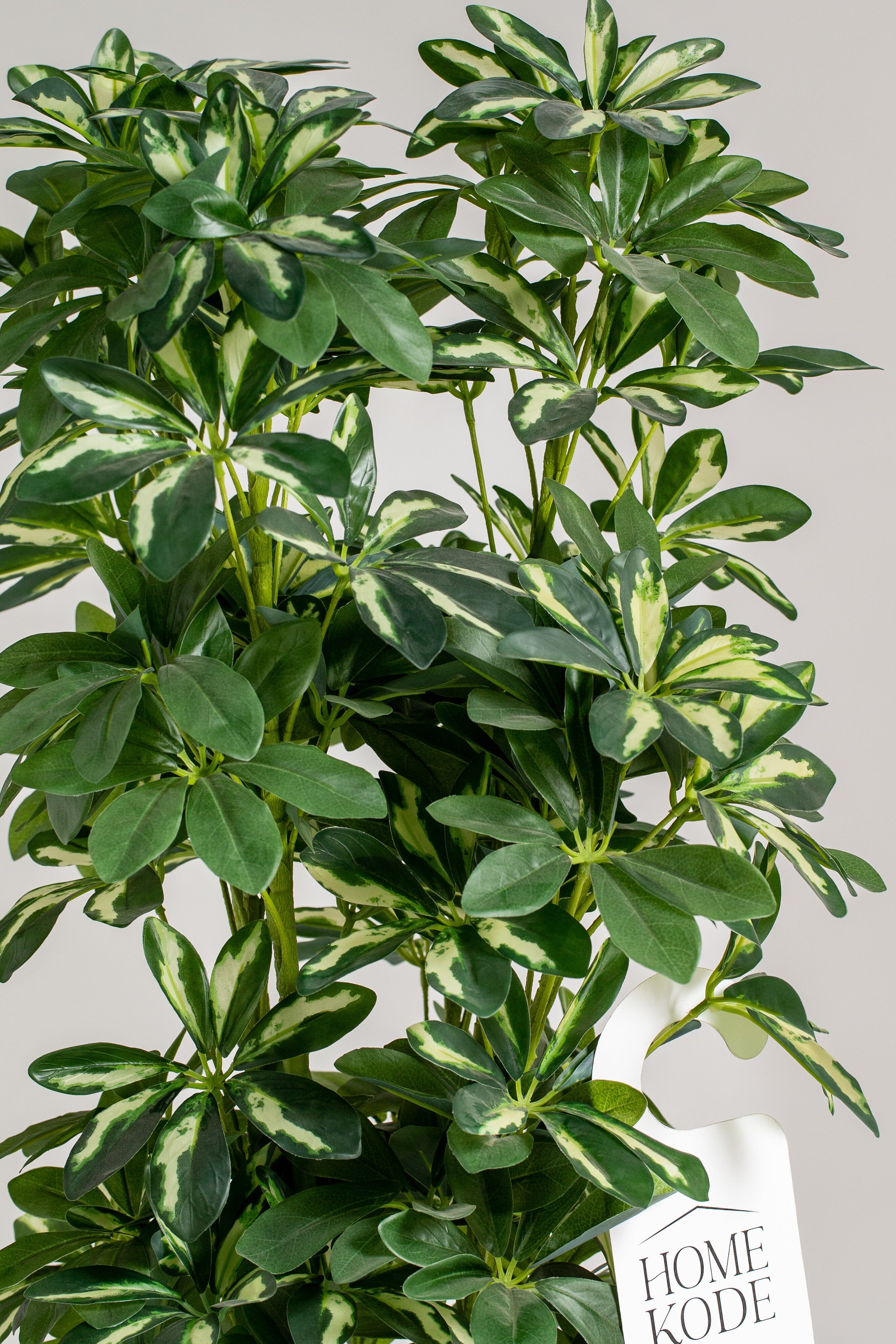 Schefflera Artificial Plant (Pot not included) Homekode 