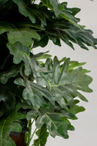 Ficus Lyrataificial Plant (Pot not included) Homekode 