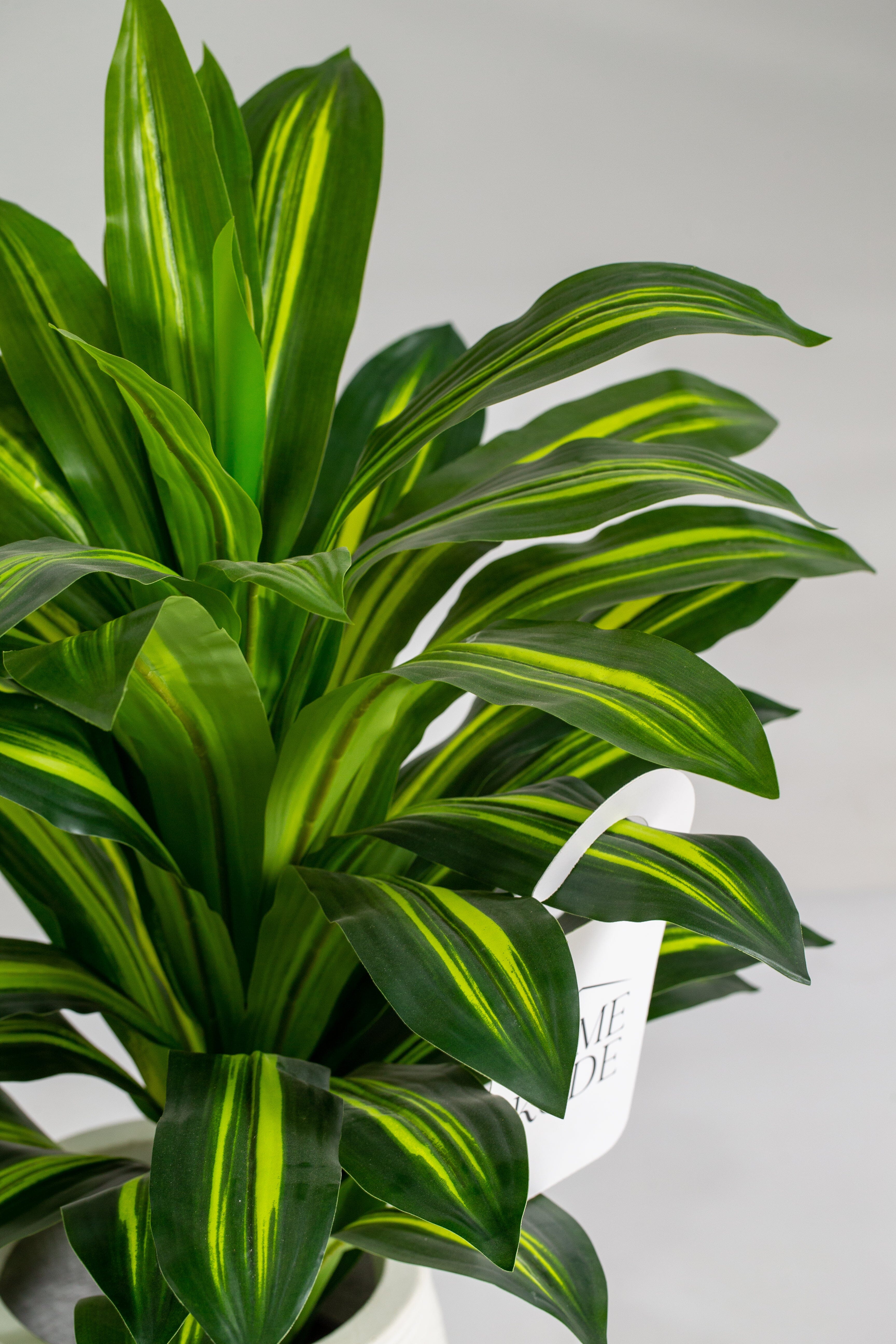 Dracaena Fragrance Artificial Plant (Pot not included) Homekode 