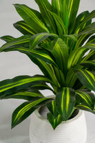 Dracaena Fragrance Artificial Plant (Pot not included) Homekode 