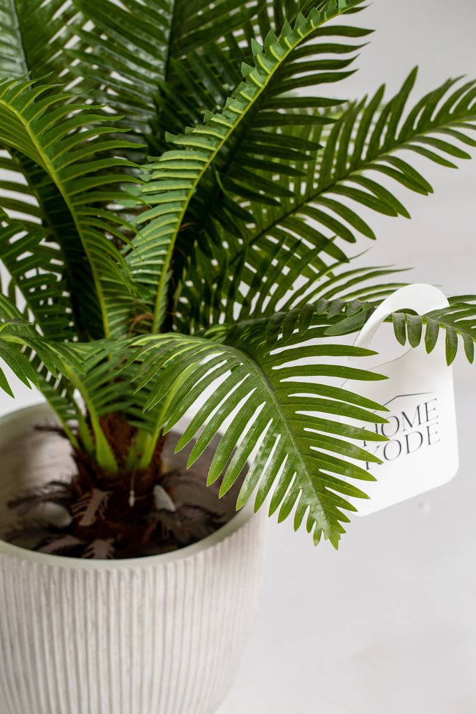 Cycas Palm artificial plant (Pot not included) Homekode 