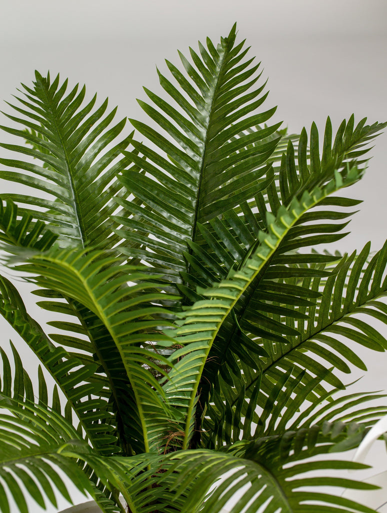 Cycas Palm artificial plant (Pot not included) Homekode 