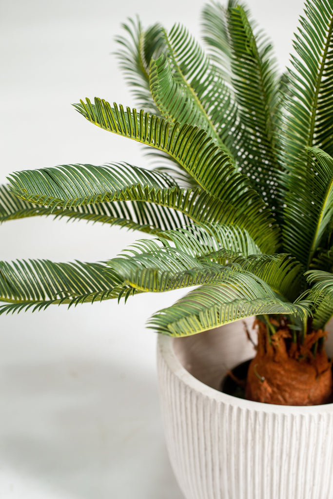 Cycas Artificial Plant (Pot Not Included) Homekode 
