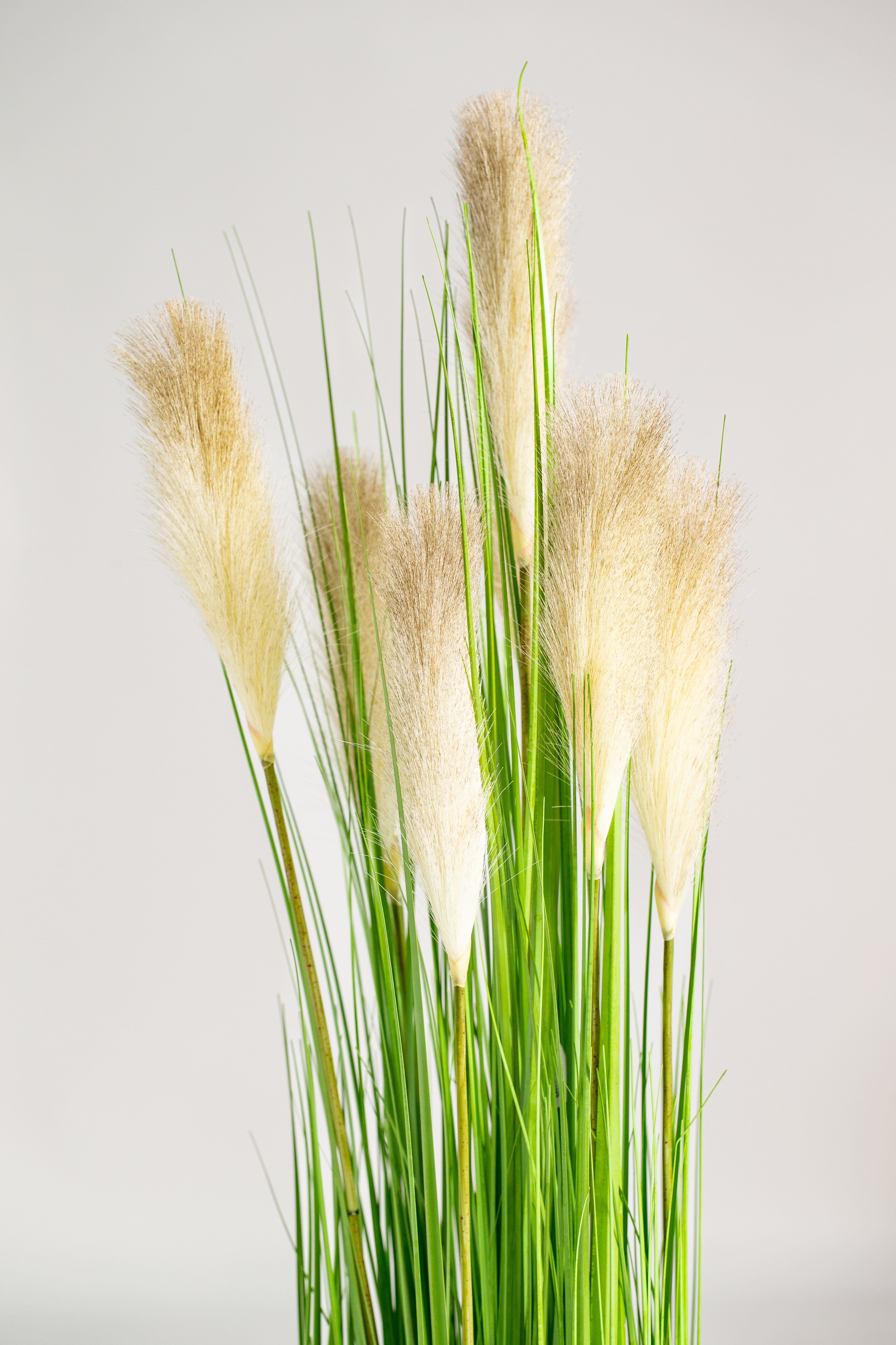 Fountain grassificial Plant (Pot not included) Homekode 