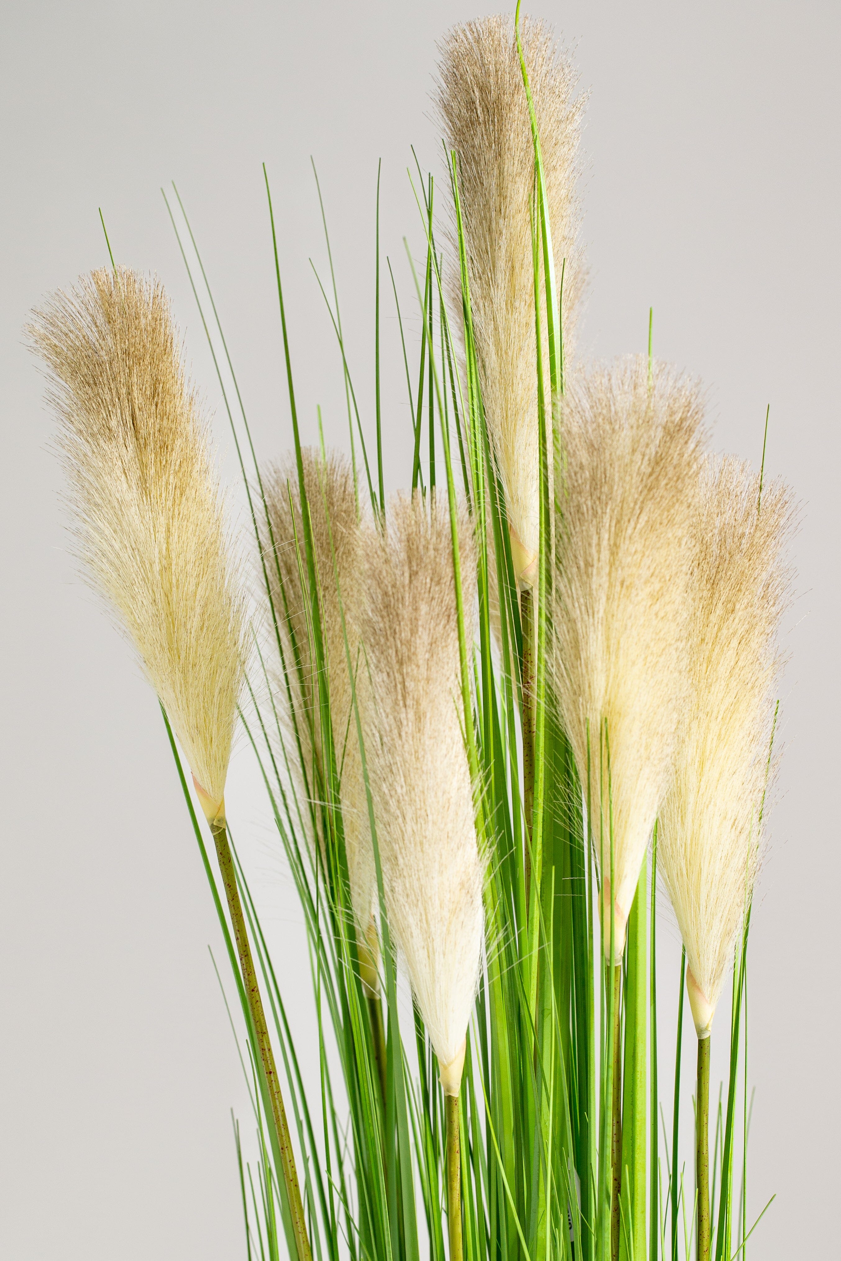 Fountain grassificial Plant (Pot not included) Homekode 