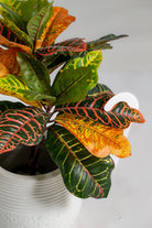 Garden Croton Artificial Plant (Pot not included) Homekode 