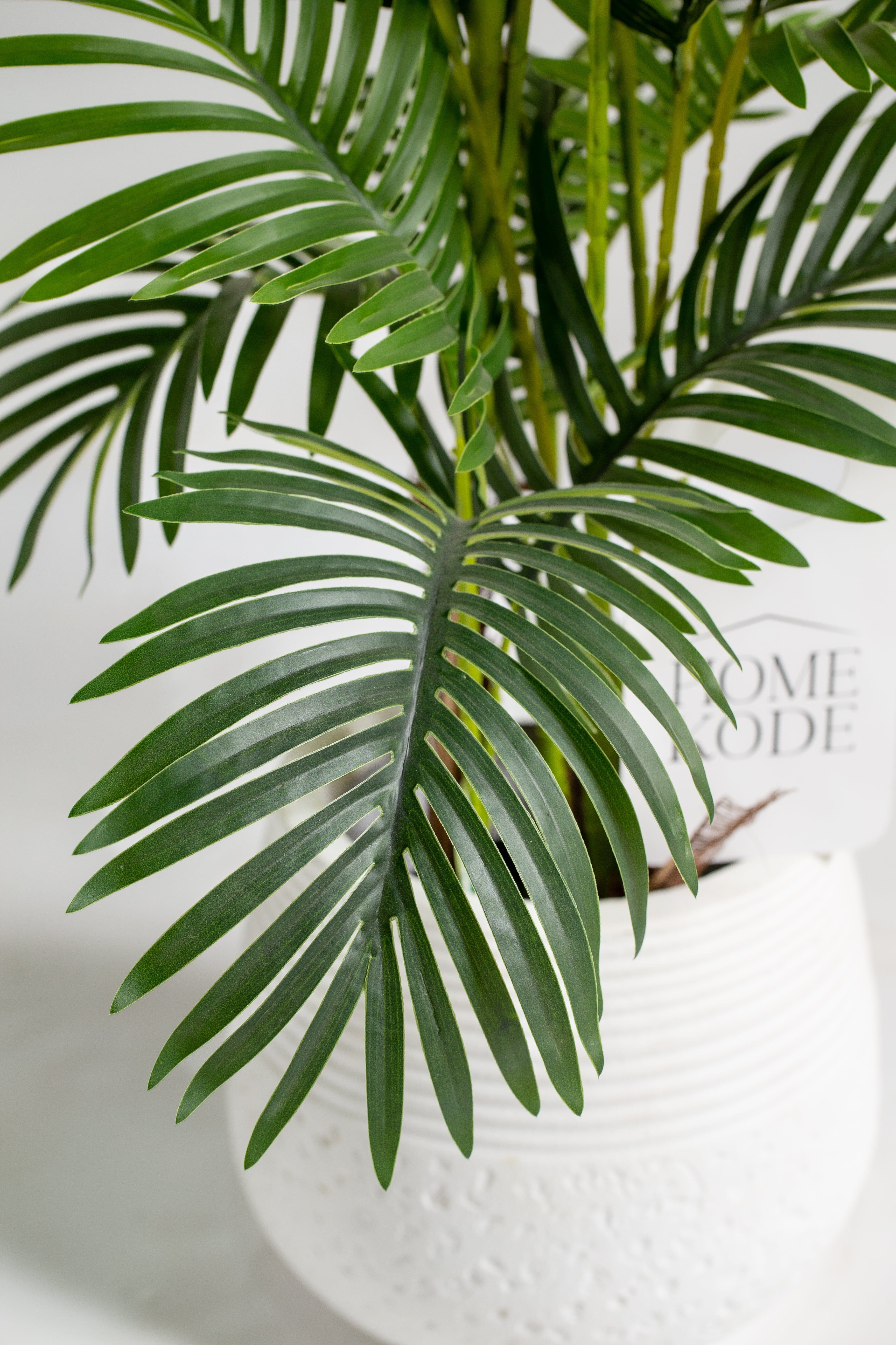 Areca Palmificial Plant (Pot not included) Homekode 