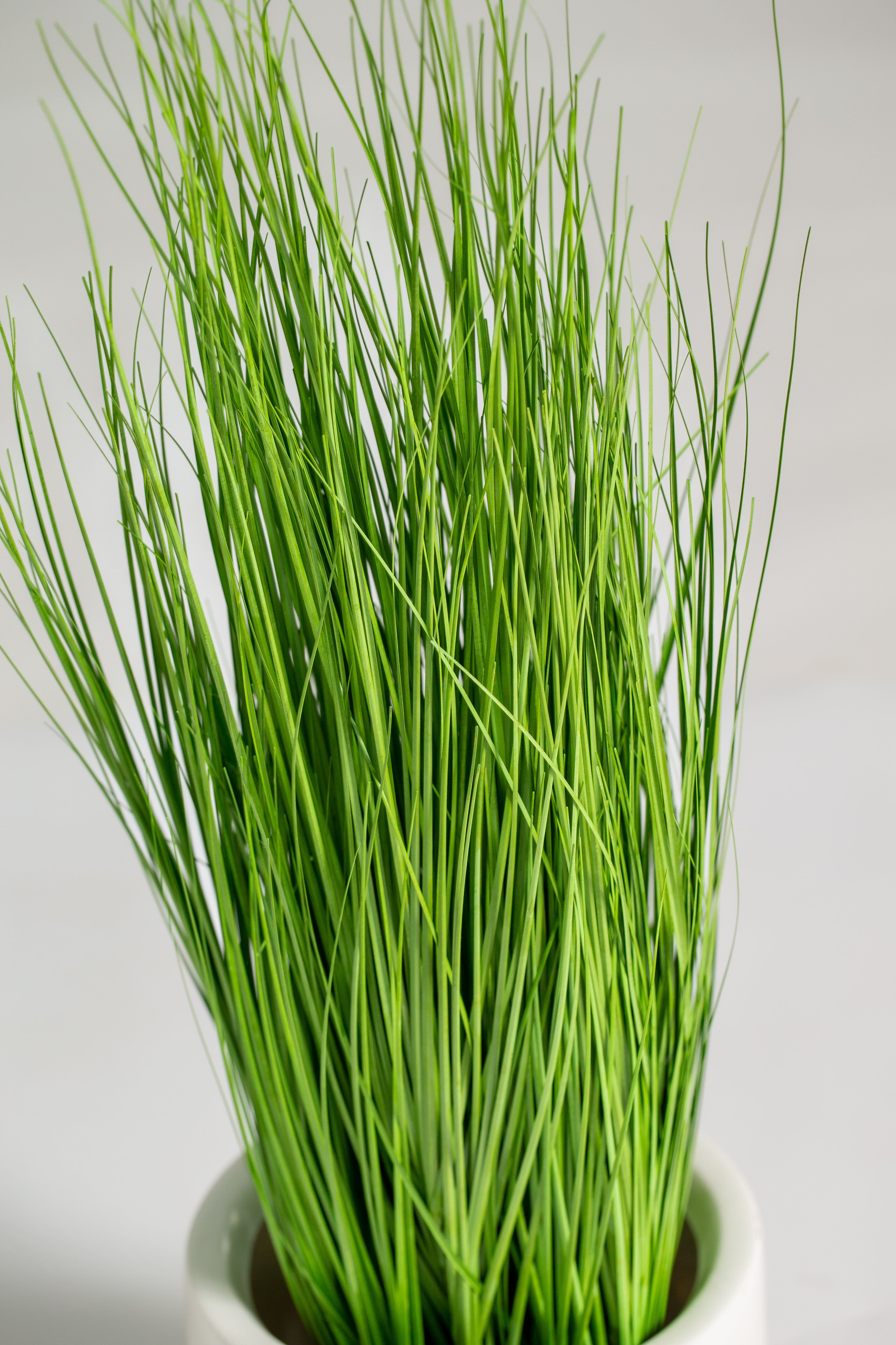 Eleocharis Artificial Plant (Pot not included) Homekode 