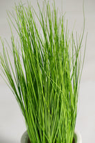 Eleocharis Artificial Plant (Pot not included) Homekode 