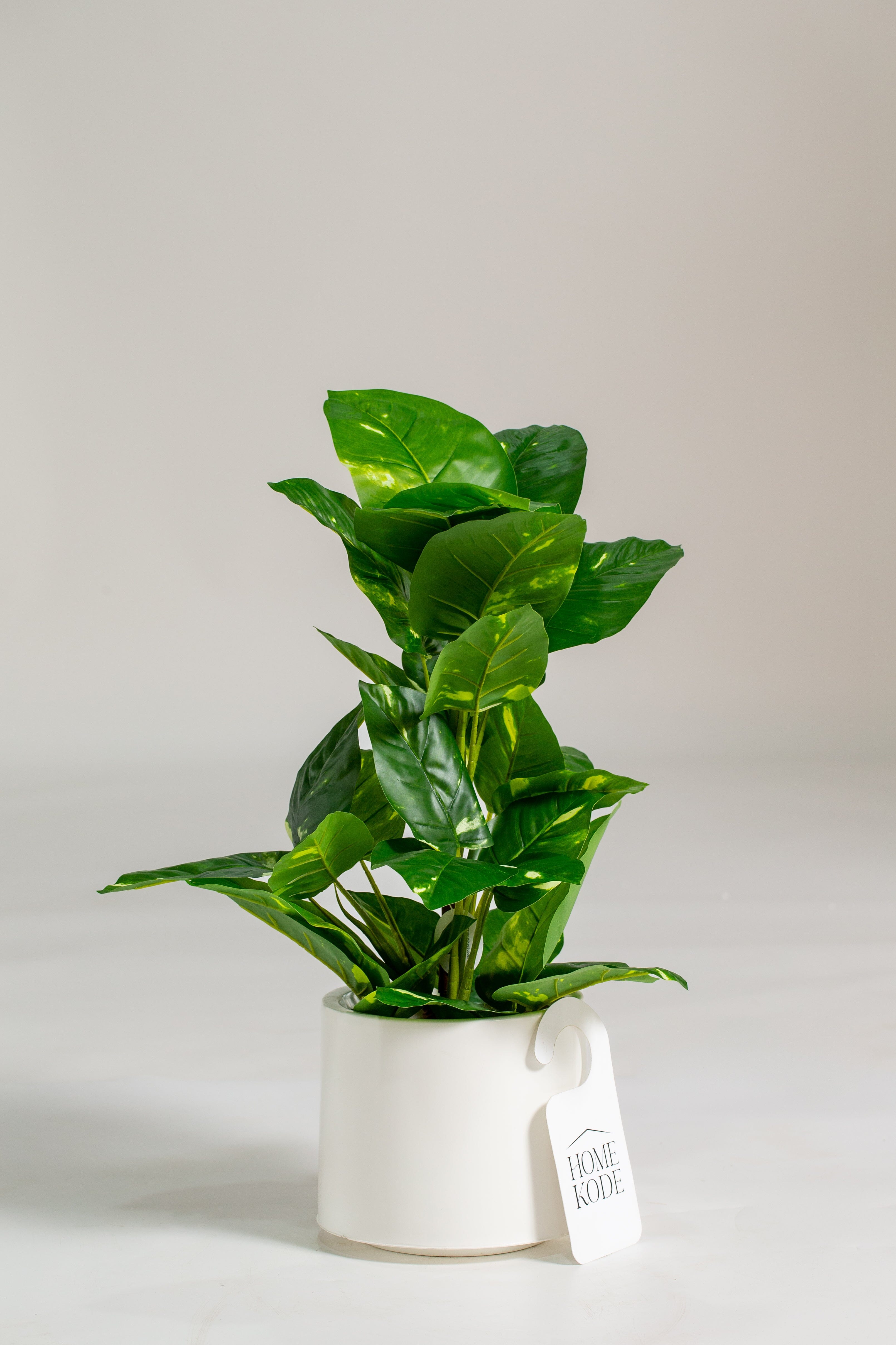 Epipremnum Pinnatum Artificial Plant (Pot not included) Homekode 