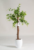 Celtis Australisificial Plant (Pot not included) Homekode 