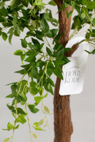 Celtis Australisificial Plant (Pot not included) Homekode 