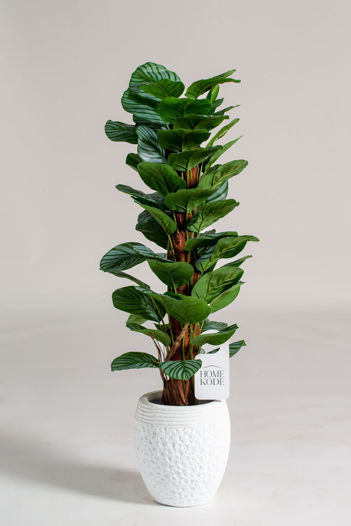 Fiddle-leaf fig Artificial Plant (Pot not included) Homekode 