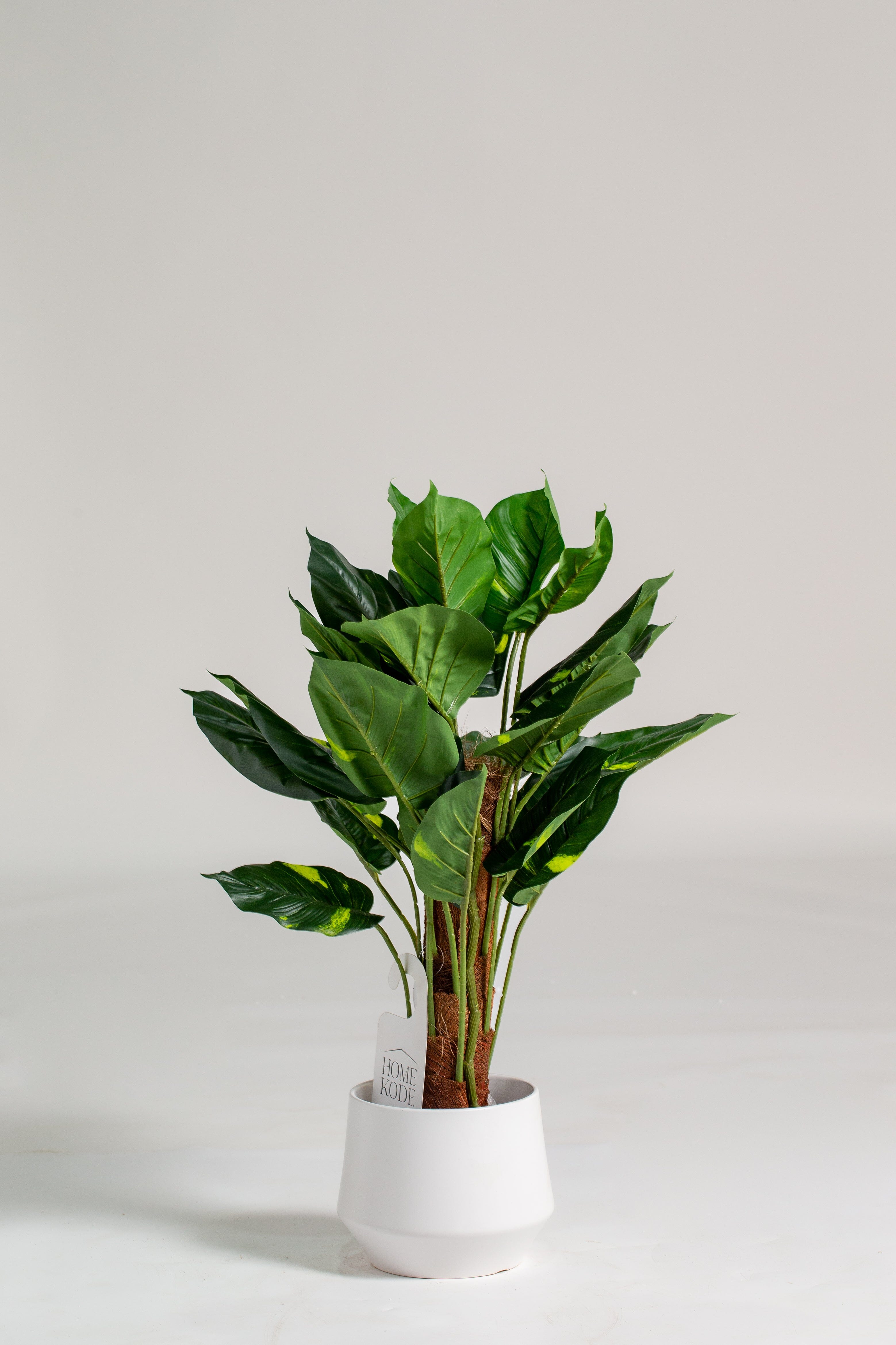 Philodendron Artificial Plant (Pot not included) Homekode 