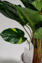 Philodendron Artificial Plant (Pot not included) Homekode 