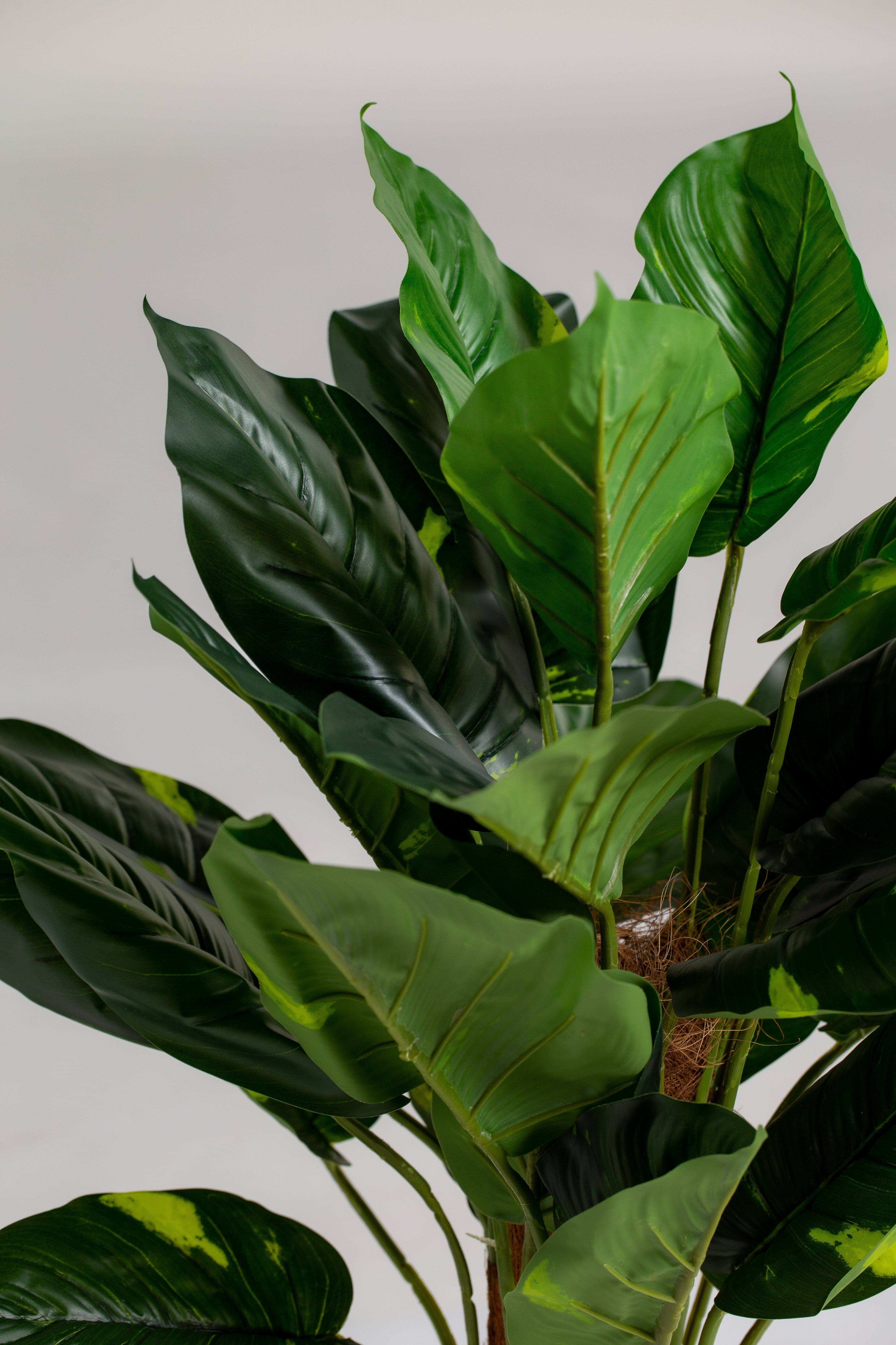 Philodendron Artificial Plant (Pot not included) Homekode 