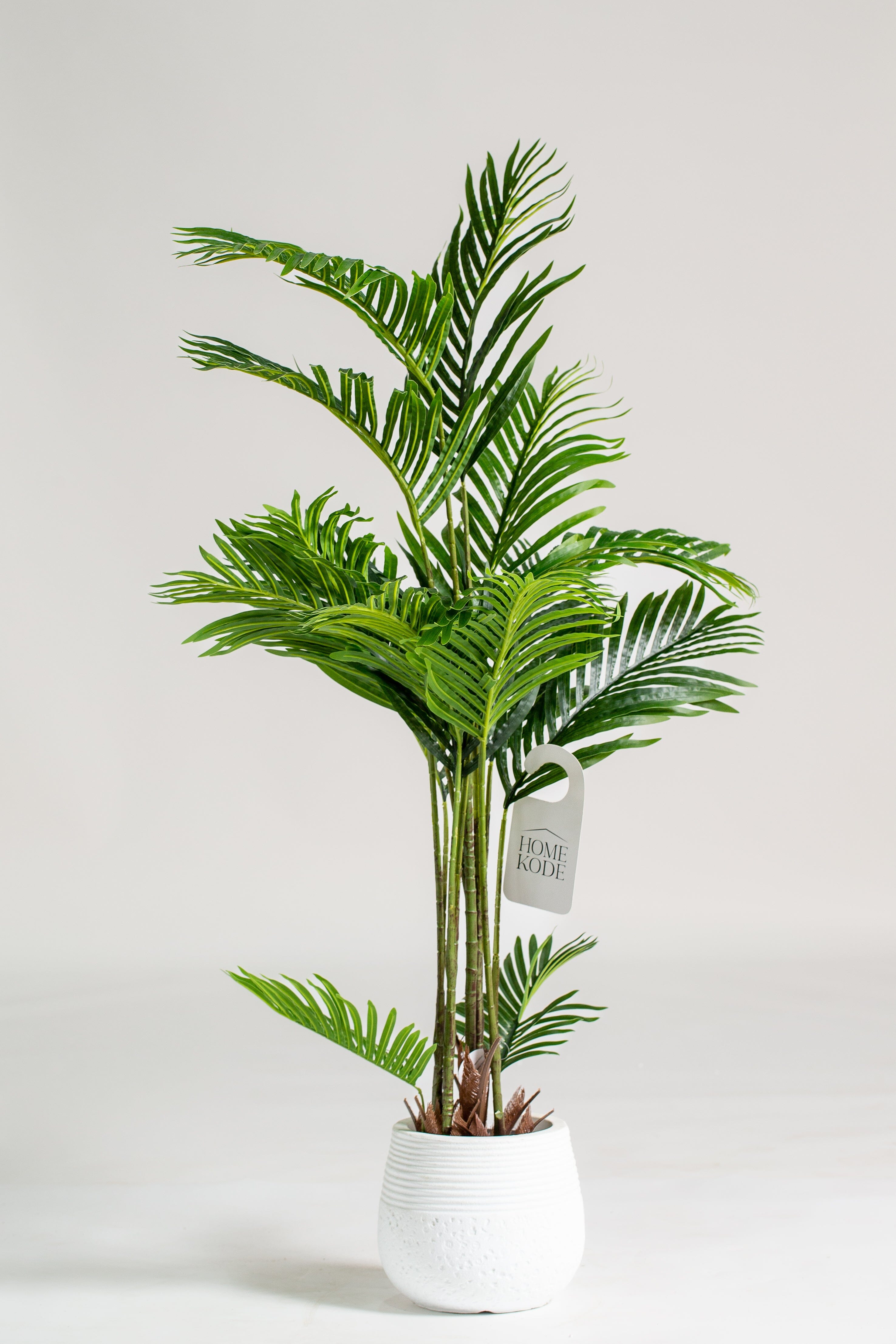 Areca Palmificial Plant (Pot not included) Homekode 