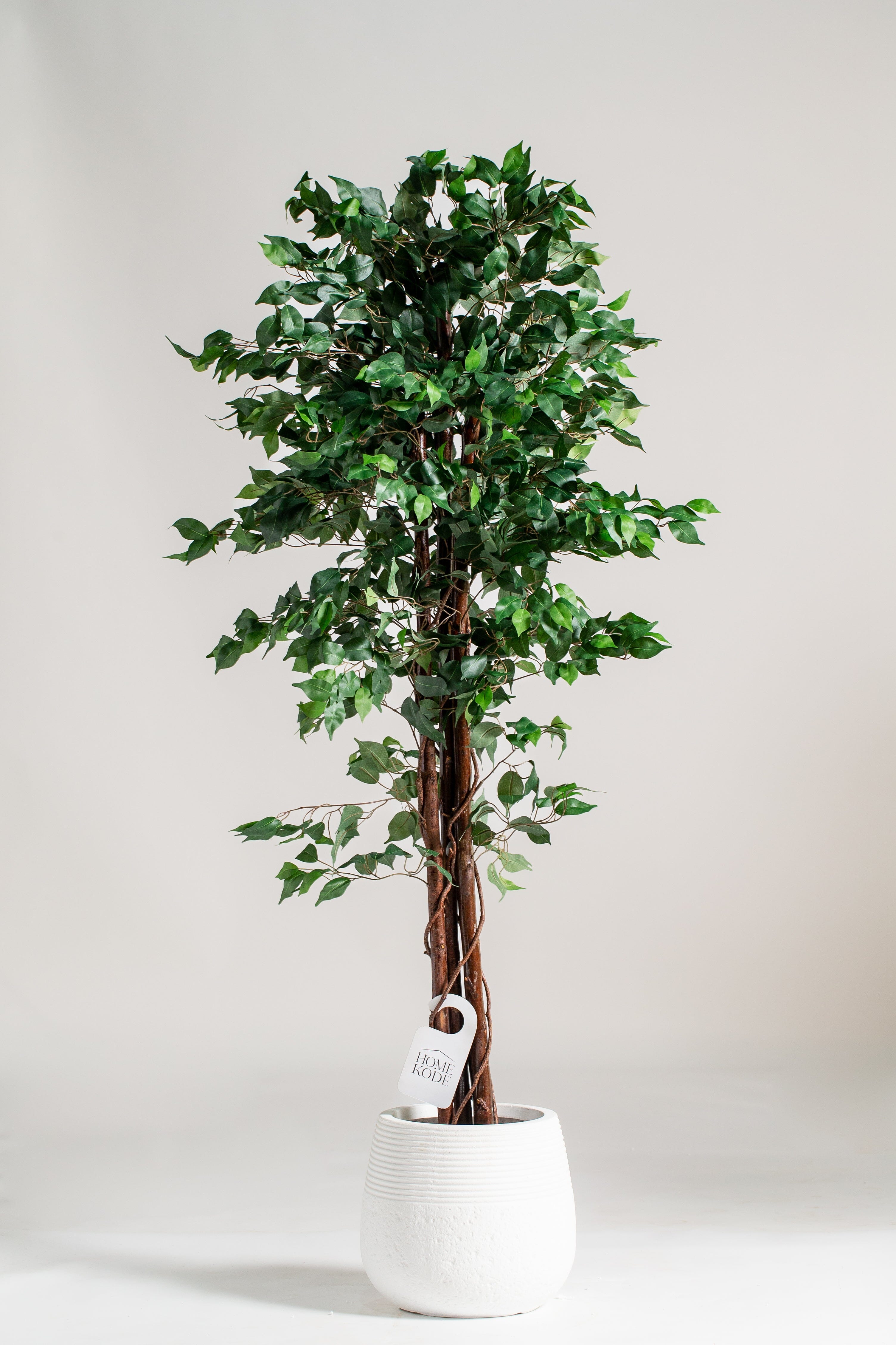 Ficus Benjaminaificial Plant (Pot not included) Homekode 