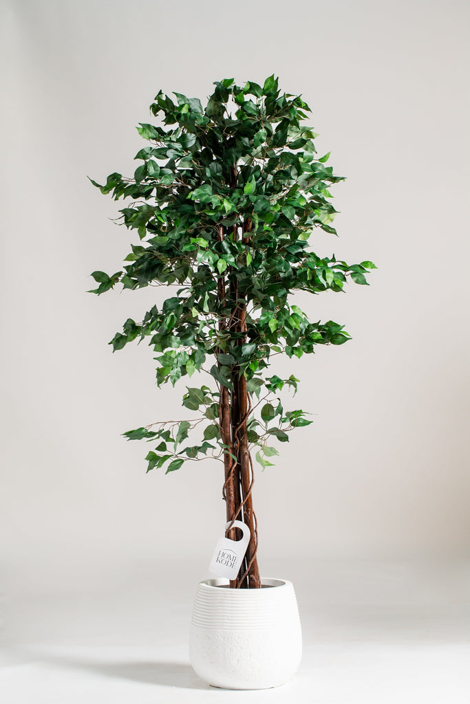 Ficus Benjamina Artificial Plant (Pot not included) Homekode 