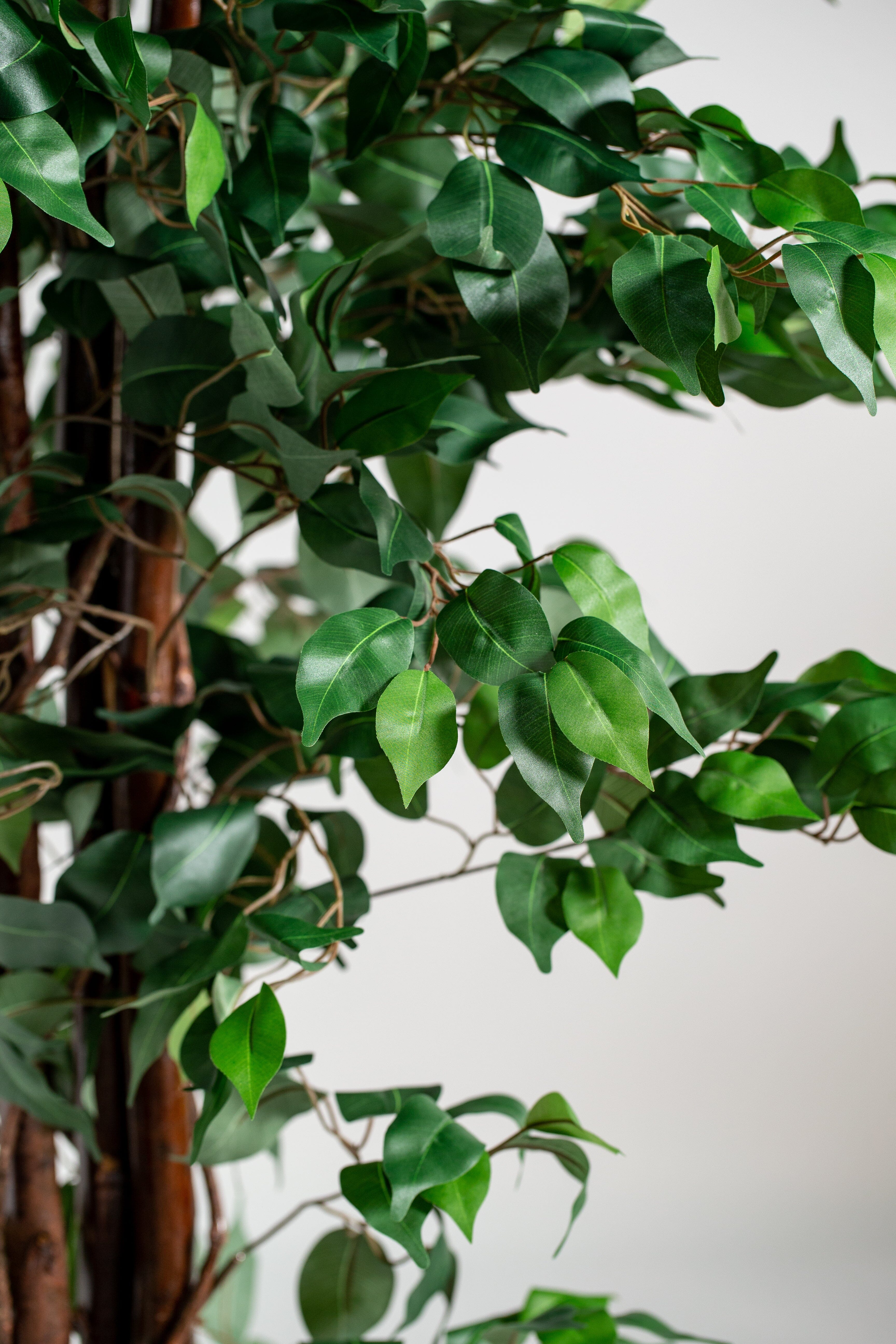 Ficus Benjaminaificial Plant (Pot not included) Homekode 