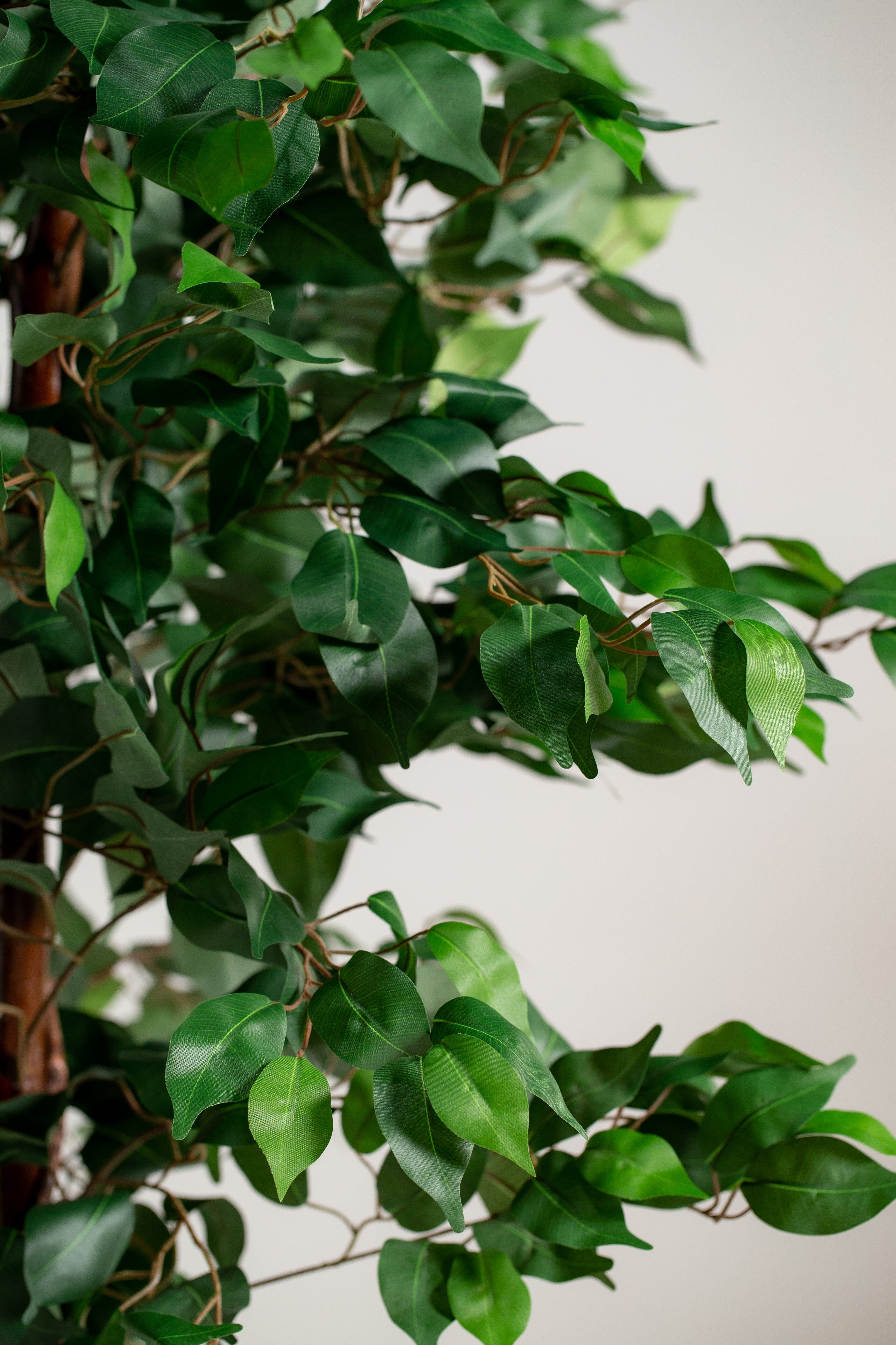 Ficus Benjaminaificial Plant (Pot not included) Homekode 