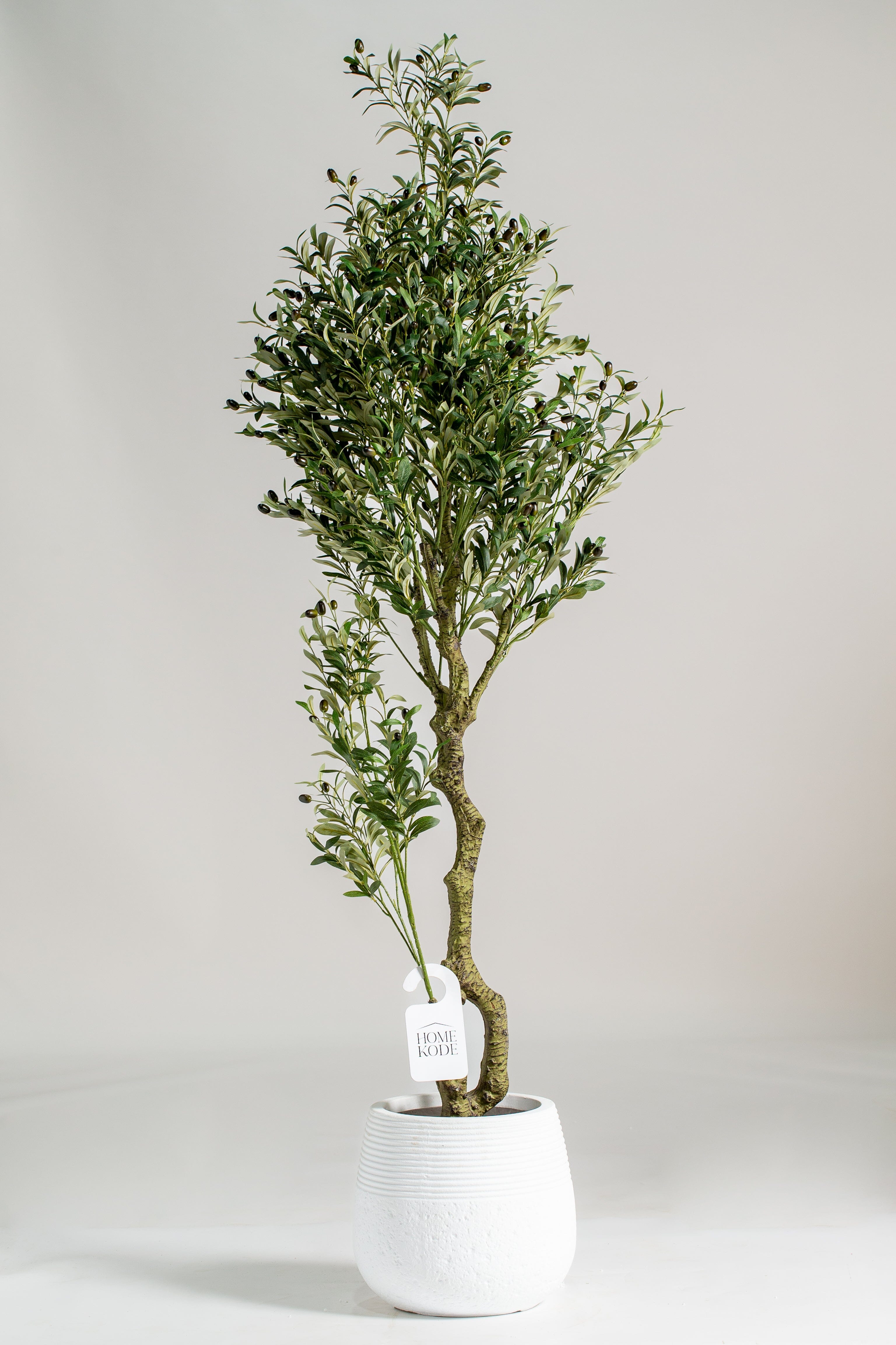 Olive Tree with olivesificial Plant (Pot not included) Homekode 