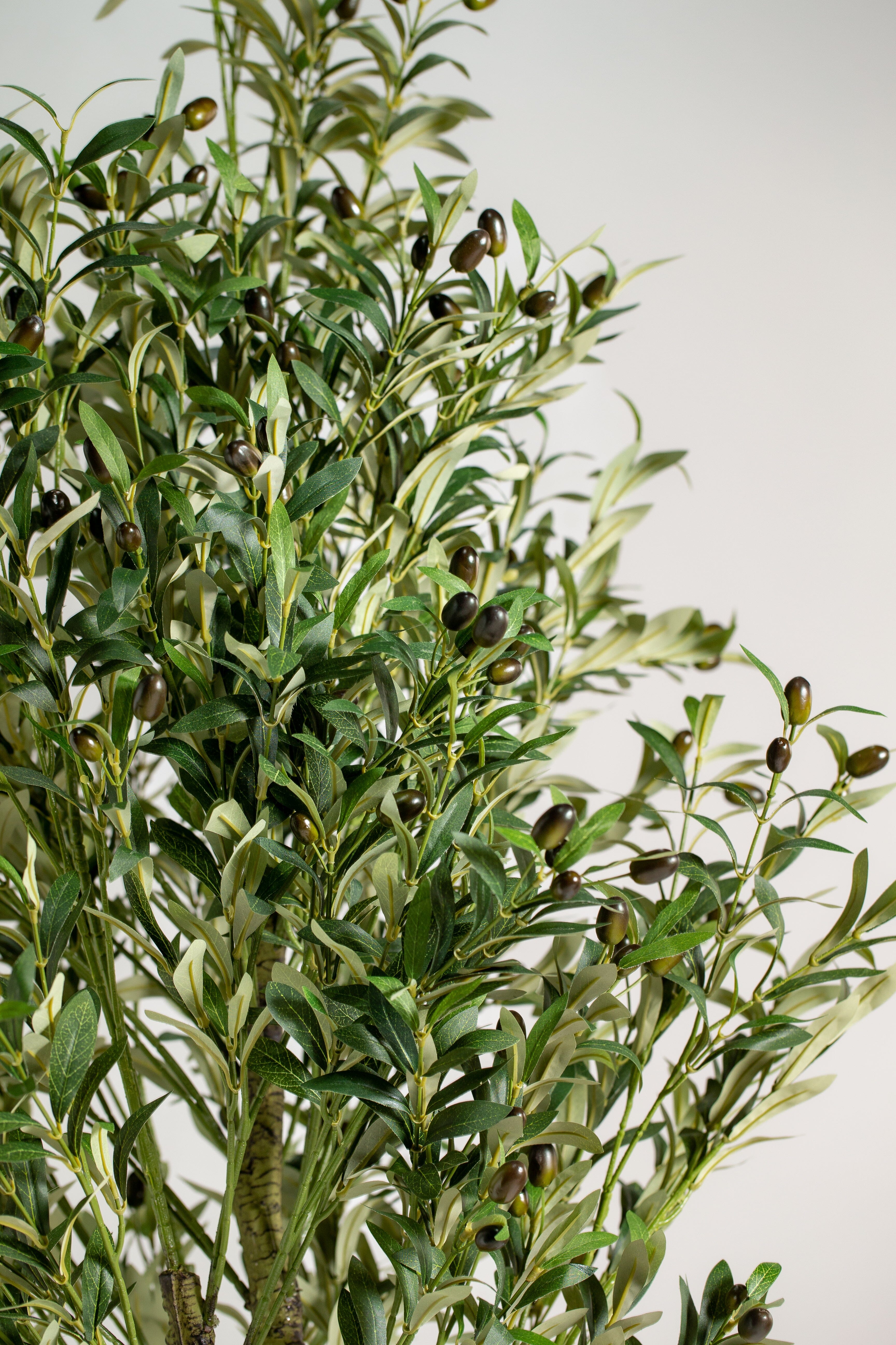 Olive Tree with olivesificial Plant (Pot not included) Homekode 