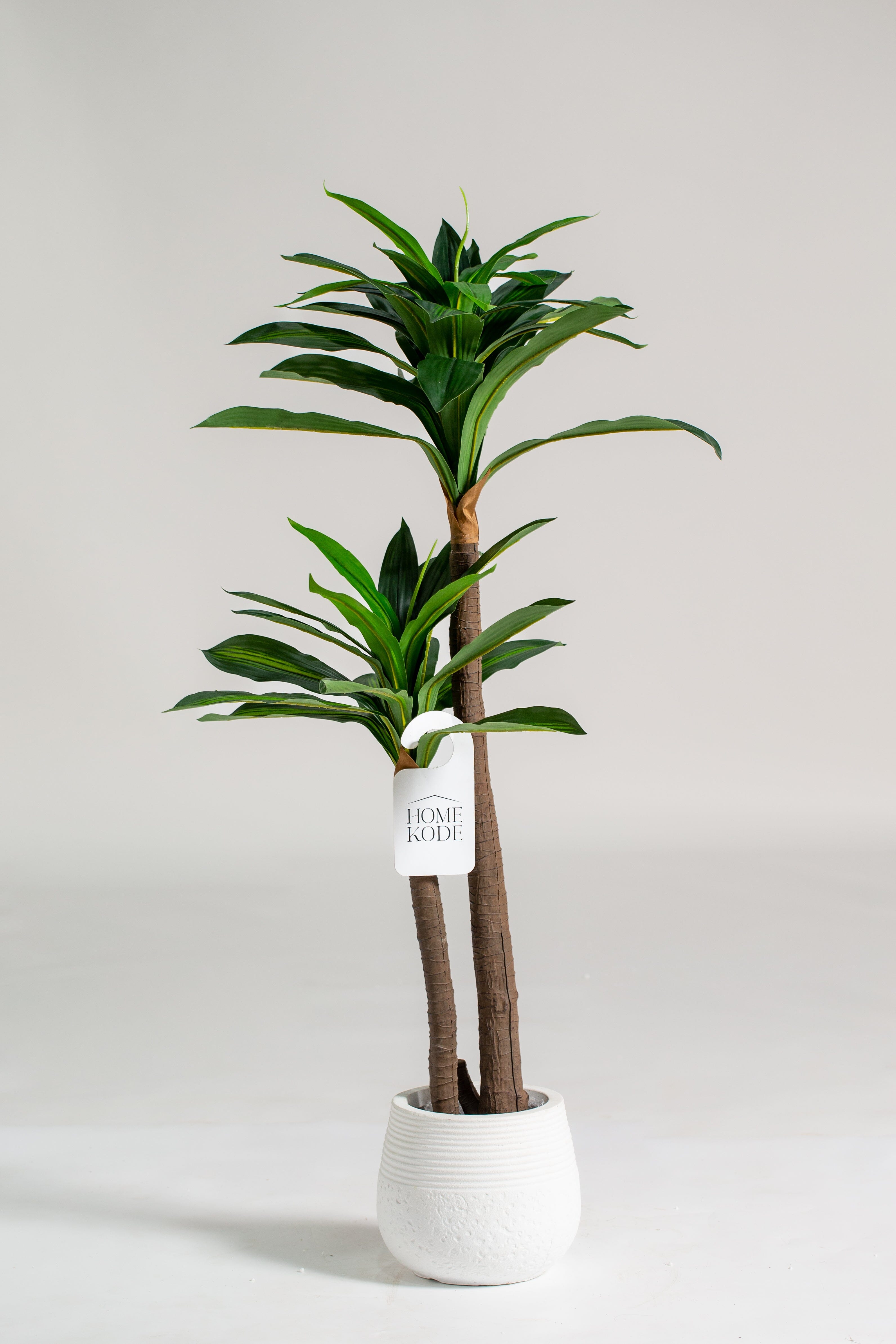 Dracaena Fragransificial Plant (Pot not included) Homekode 