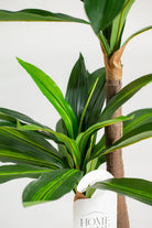 Dracaena Fragrans Artificial Plant (Pot not included) Homekode 