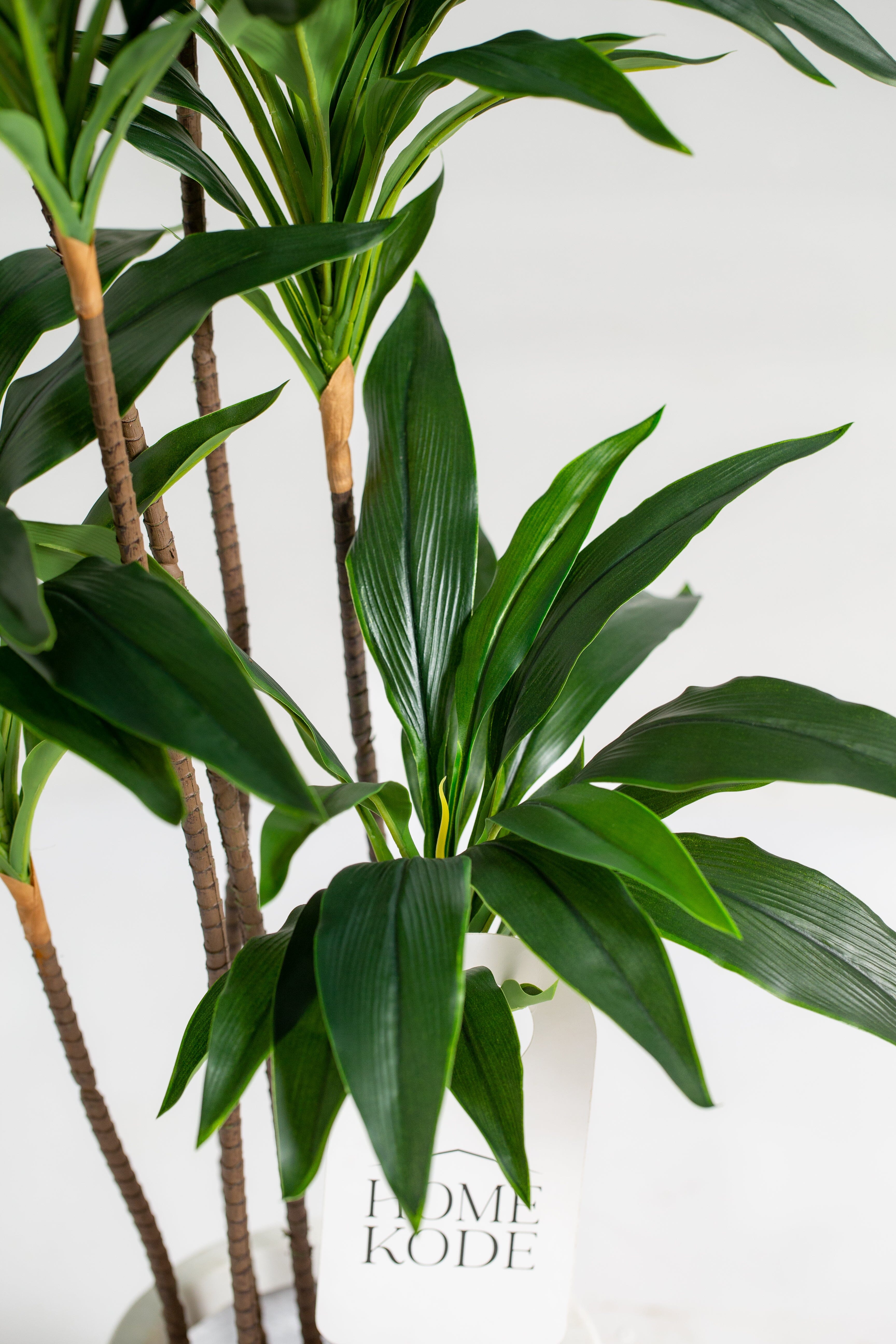 Dracena Marginata Artificial Plant (Pot not included) Homekode 