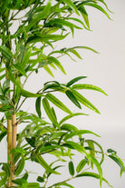 Bamboo Treeificial Plant (Pot not included) Homekode 