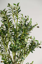 Olive Tree with olives 2ificial Plant (Pot not included) Homekode 