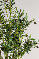 Olive Tree with olives 2ificial Plant (Pot not included) Homekode 