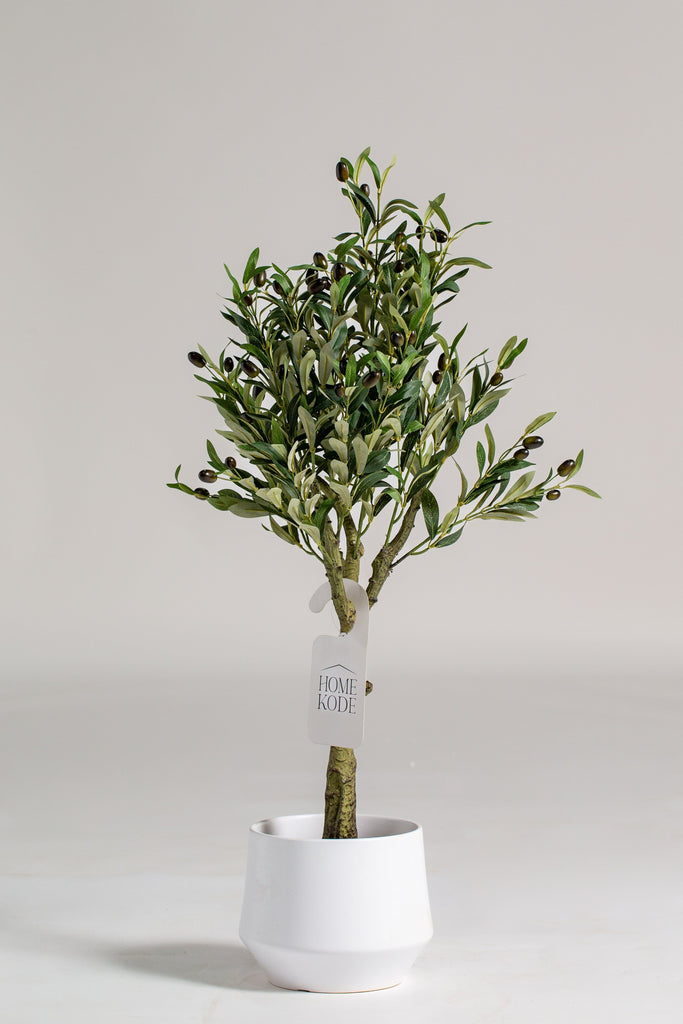 Mini Olive tree Artificial Plant (Pot not included) Homekode 